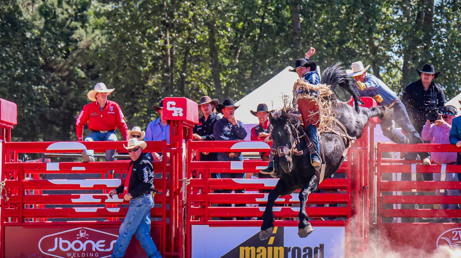 Layton Green - Saddle Bronc Champion - Cloverdale Rodeo 2026