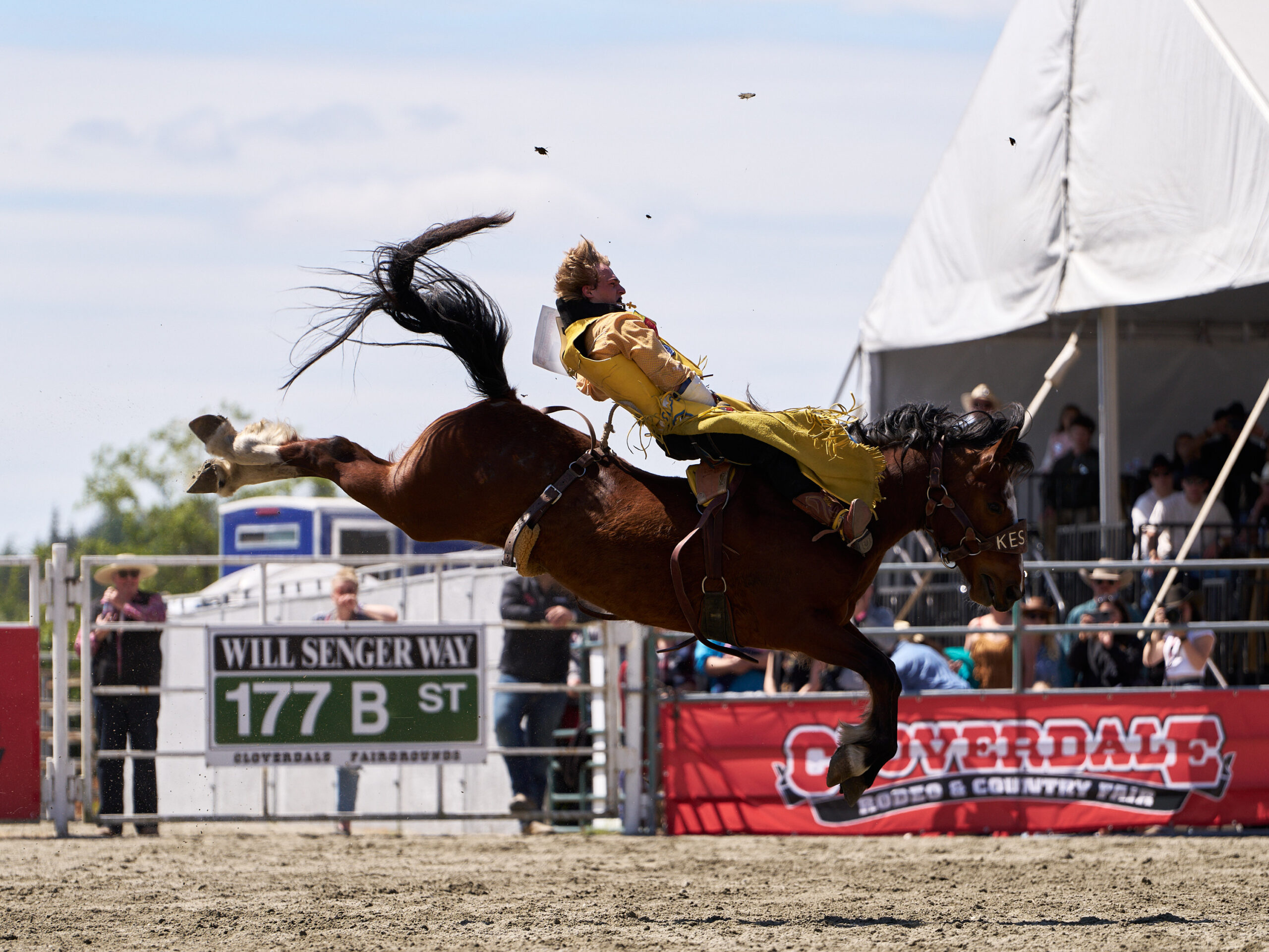 Cooper Filipek - Bareback Champion - Cloverdale Rodeo 2026